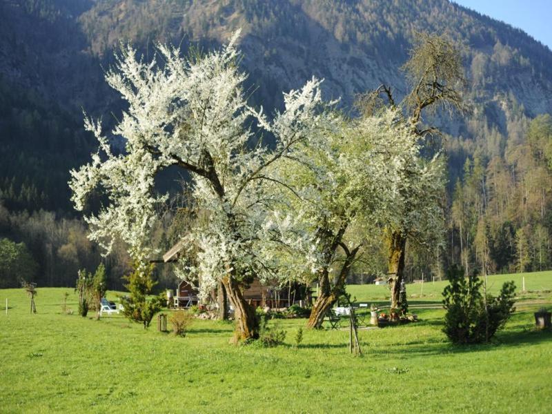 Hansenbauernhof Inkl. Chiemgaukarte Руполдинг Екстериор снимка